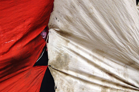 elephantonabicycle: elephantonabicycle portfolio review