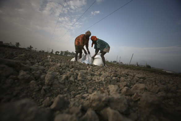 25 June 2009: Amritsar, India: Farmers open a sack of fertiliser on a dry piece of land