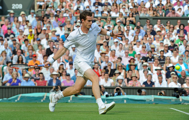 Thursday Wimbledon: Andy Murray strides towards the ball ready to dispatch a forehand pass