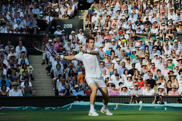 Thursday Wimbledon: Andy Murray