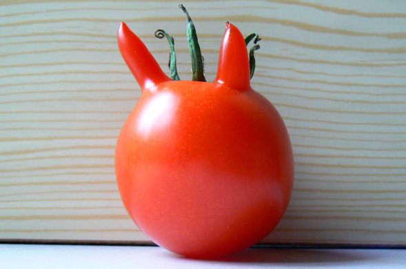 Wonky fruit and veg: A tomato with horns