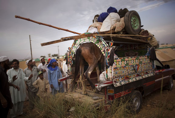 24 hours in pictures: A horse is loaded on a van as displaced people from Buner