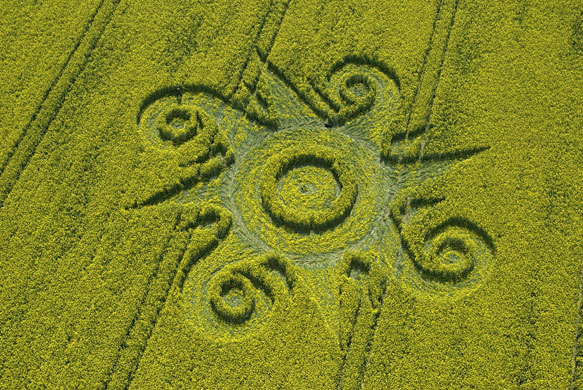 Crop circles: A crop circle in a field of oilseed rape at Roundway Hill, Wiltshire
