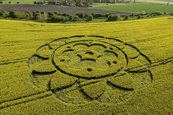 Crop circles: A crop circle in a field of oilseed rape at All Cannings, Wiltshire 