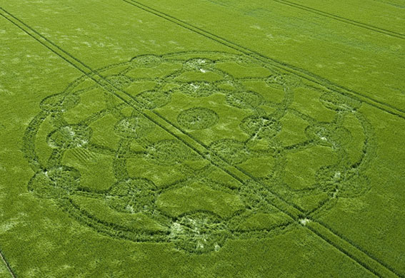 Crop circles: A crop circle in a field of barley at Wroughton, Wiltshire 