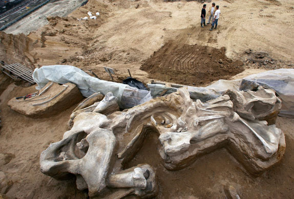 24 hours in pictures: Archeologists are seen by the recently unearthed skeleton of a mammoth