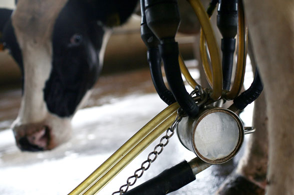 Week in Business: Plummeting Price Of Milk Leaves Dairy Farms Struggling For Profit
