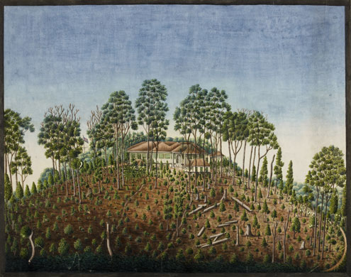 Raffles' Ark Redrawn: Natural History Drawings from the Collection of Sir Thomas Stamford Raffles