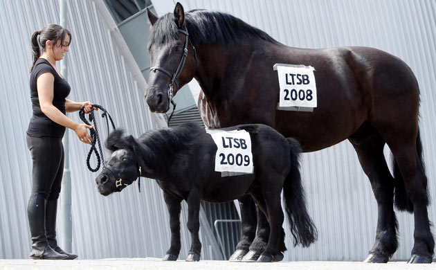 Lloyds Banking Group annual general meeting