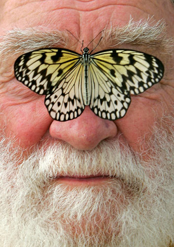 24 hours: Botanist David Bellamy with a Tree Nymph butterfly