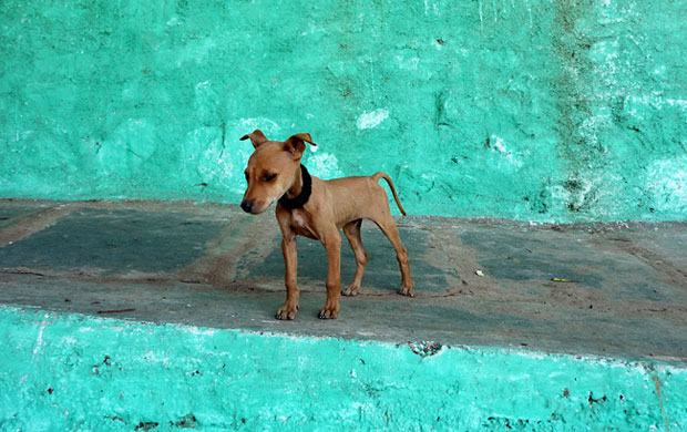 In Pictures: Abandoned: marian spiers