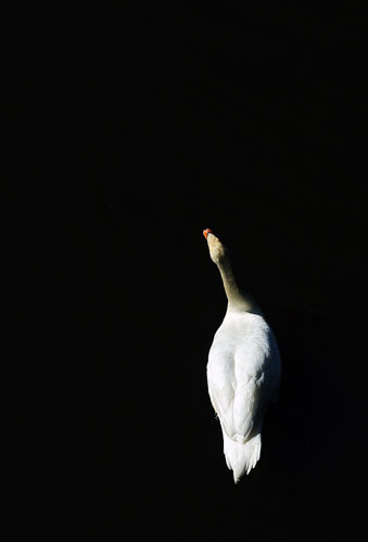 In Pictures: Abandoned: Martin Hold