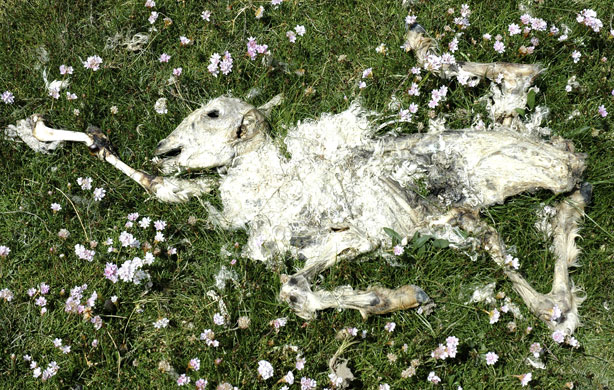 In Pictures: Abandoned: Owain Jones