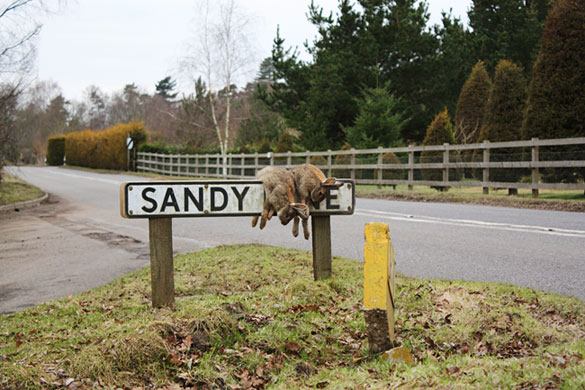 In Pictures: Abandoned: Lisa Moore