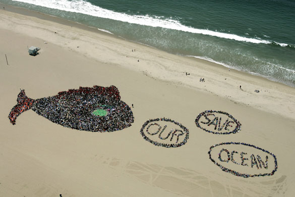 24 hours: elementary students gather at Dockweiler State Beach in Playa del Rey
