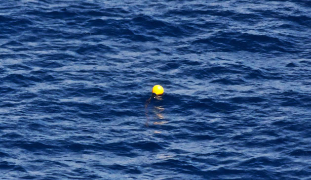 Air France gallery: A float on the surface of the Atlantic Ocean