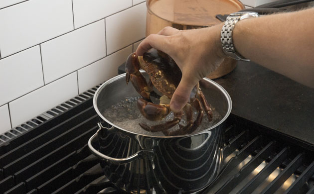 WoM: Crabs gallery: Step 3