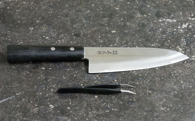 WoM: Crabs gallery: Step 4