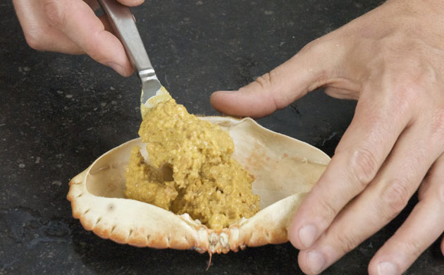 WoM: Crabs gallery: Step 12