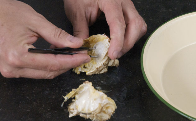 WoM: Crabs gallery: Step 15