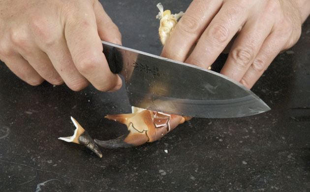 WoM: Crabs gallery: Step 17