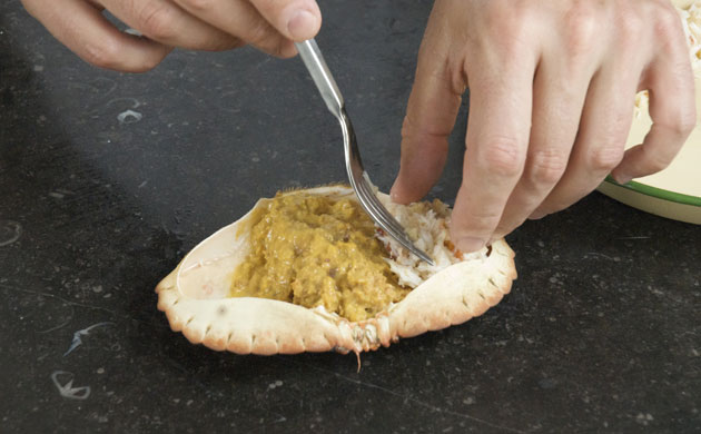 WoM: Crabs gallery: Step 18