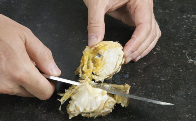 WoM: Crab gallery: Step 14