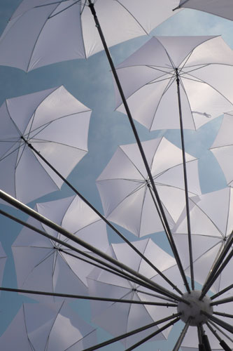 Venice Biennale gallery 2: Fleur de Sel, by Steve Messam and Hannah Stewart, at the Venice Biennale