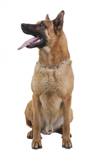 Take 10: Security guards: Take 10: Security guards. Criger, building security