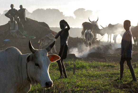1 July 2009: Nassir, Sudan: Children play in a Nuer cattle camp