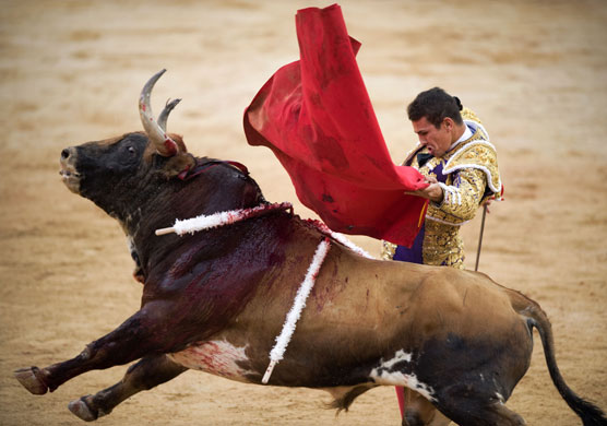 Pamplona bull running: Matador
