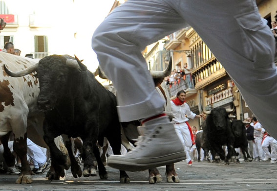 Pamplona bull running: Bull running