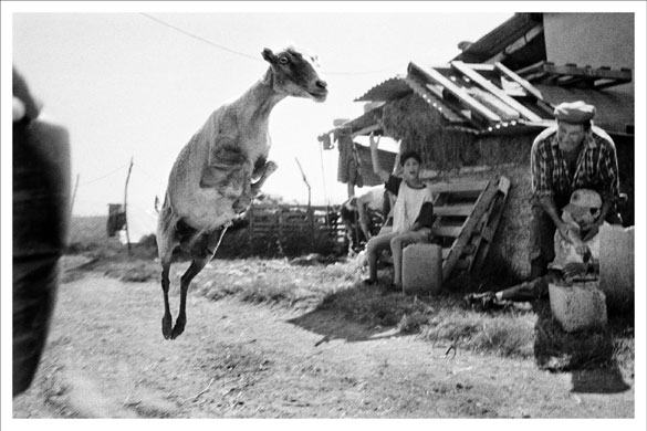 Arles photographic festival