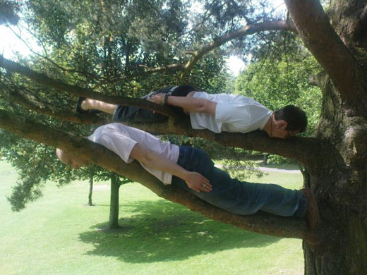 Facedown: Facebook lying down game in a tree