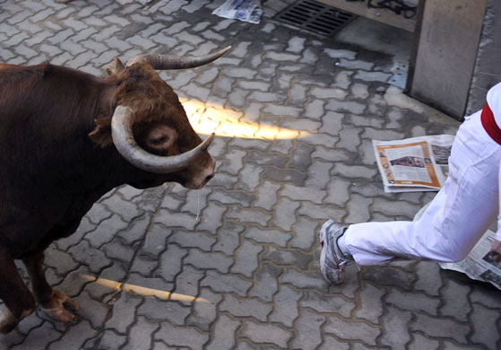 24 hours in pictures: Bull running