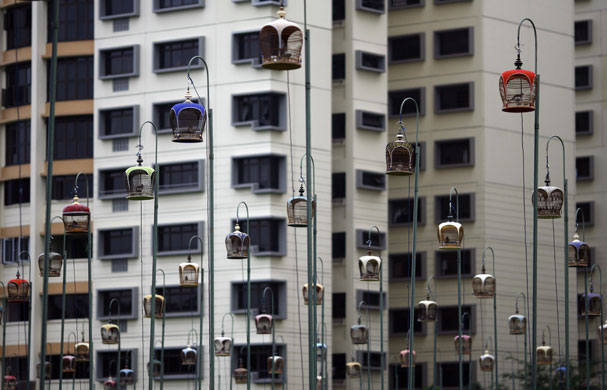 24hours in pictures: Doves sing in cages on  poles during a bird singing competition Singapore