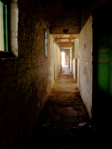 JamesMilena portfolio: Light at the end of the tunnel