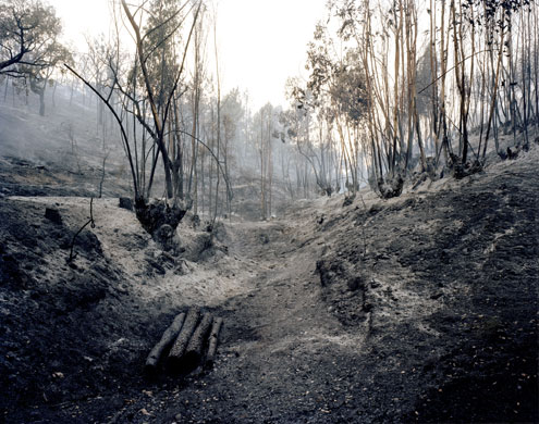 Prix Pictet 2009: Earth Shortlisted : Edgar Martins, The Diminishing Present Series 