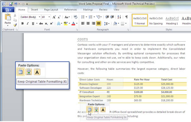 Windows 2010: Word paste preview