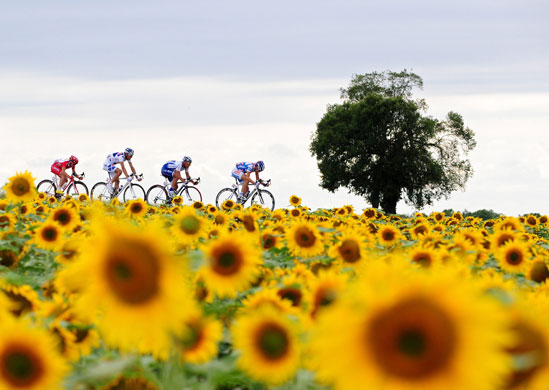 Tour de France Stage 10: Samuel Dumoulin, Benoit Vaugrenard, Mikhail Ignaties and Thierry Hupon