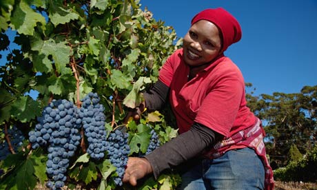 Harvest dating south africa