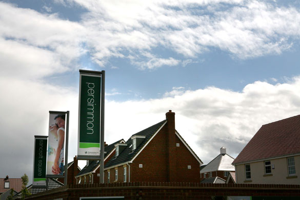Week in Business: Persimmon Homes development in Harleston, Norfolk