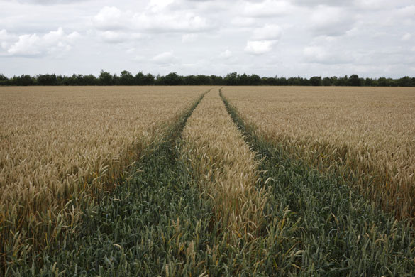 Eco Towns : proposed new UK eco town near Bicester 