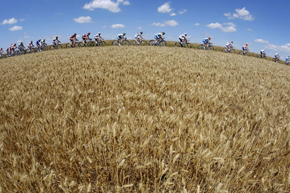 Tour de France: The pack of riders cycles past
