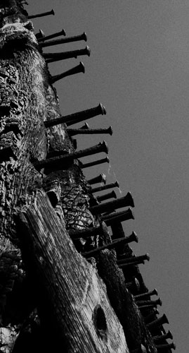 kjcrichton portfolio: DSLR01742_3