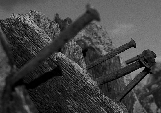 kjcrichton portfolio: DSLR01081_redux