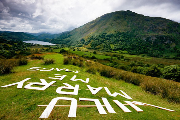 In Pictures: Novelty: Mark Whitaker