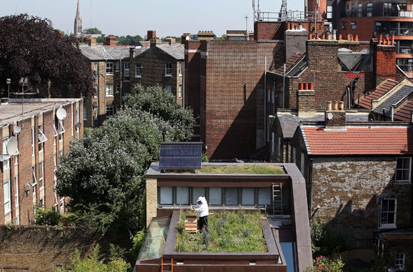 Week in Wildlife: Urban Beekeeping On East London Rooftops, beekeeper installs new bee hive