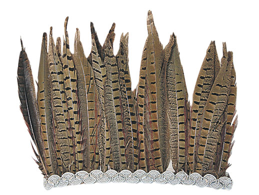 Summer hats: Feather headdress,