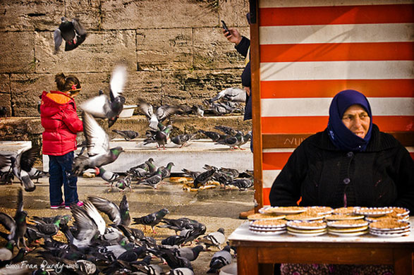 Fran Purdy portfolio: The bird food seller of Istanbul